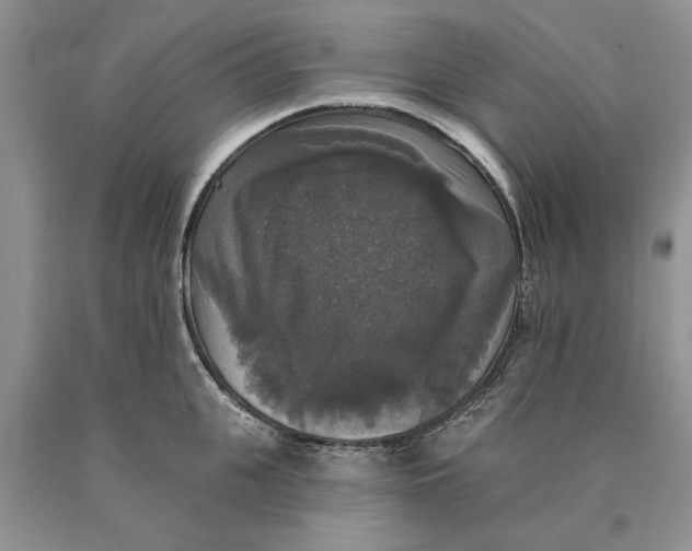 X0000089960951200707271858