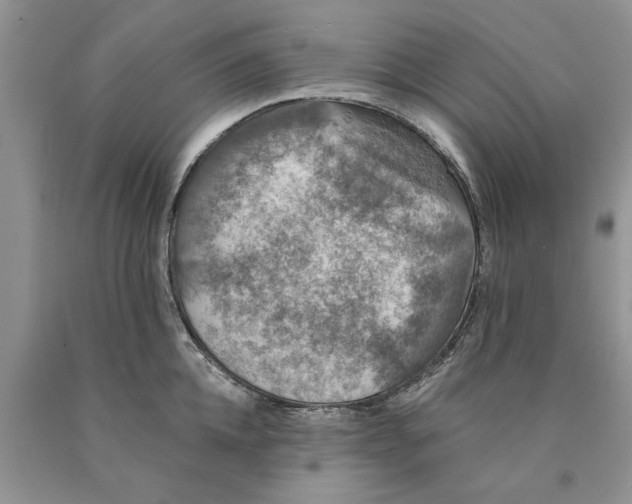 X0000089960952200707271858