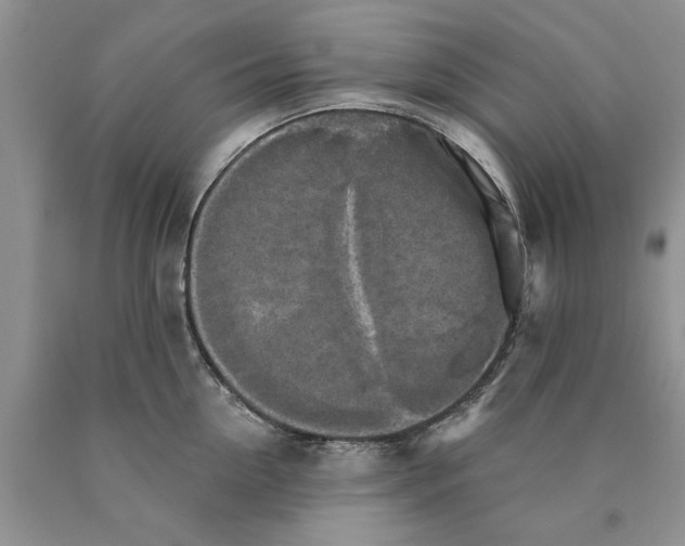 X0000089960954200707271858