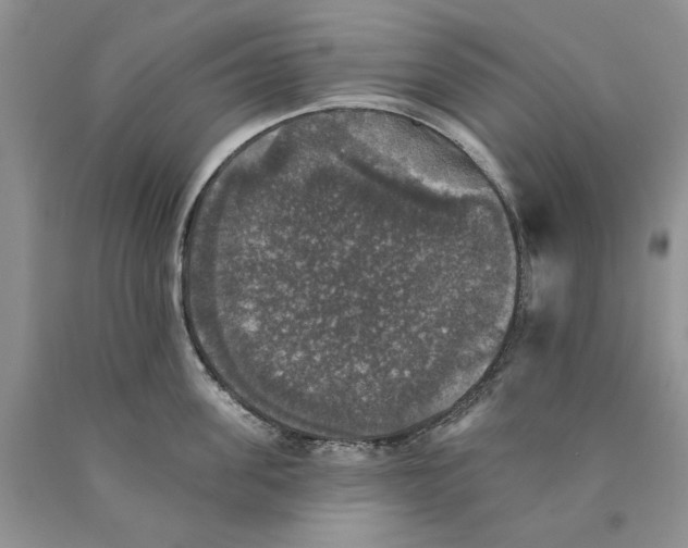 X0000089960955200707271858