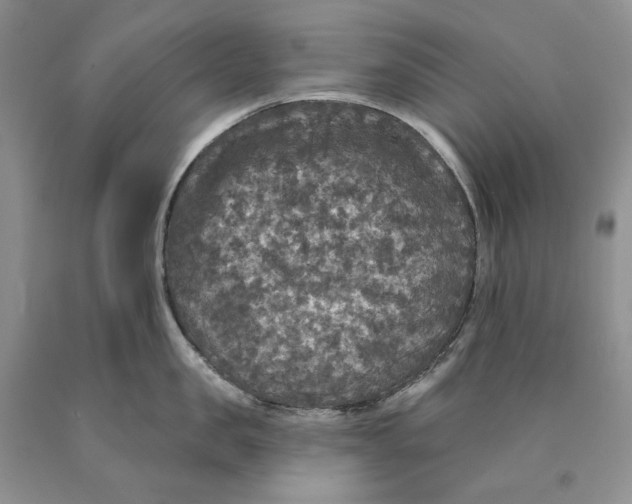 X0000089960957200707271858