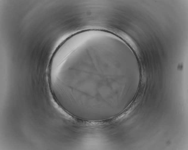 X0000089960958200707271858