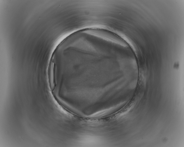 X0000089960959200707271858