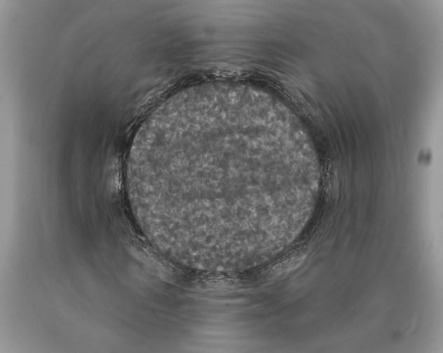 X0000089960962200707271858