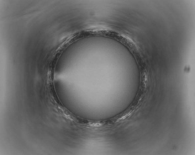 X0000089960965200707271858