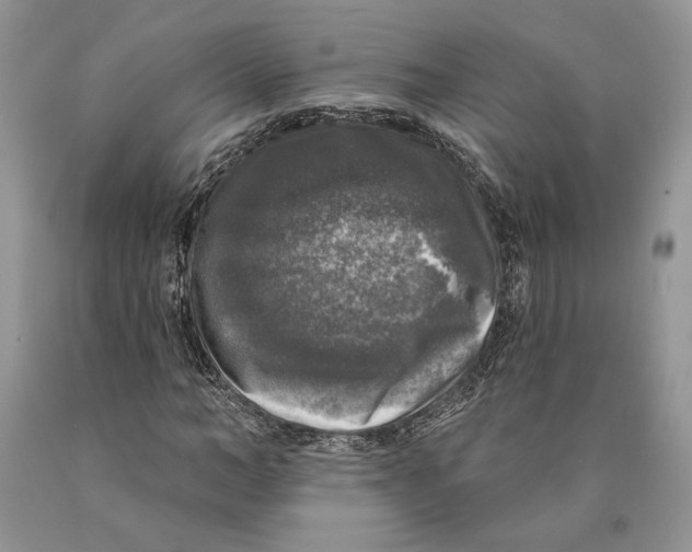 X0000089960966200707271858