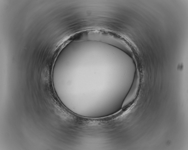 X0000089960969200707271858