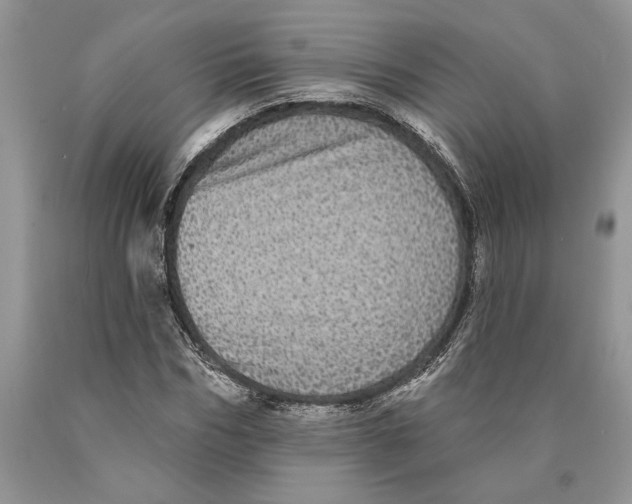 X0000089960970200707271858