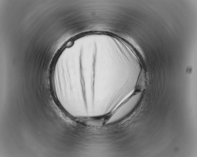 X0000089960972200707271858