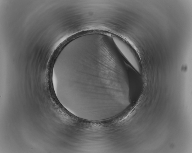 X0000089960975200707271858