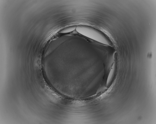 X0000089960977200707271858