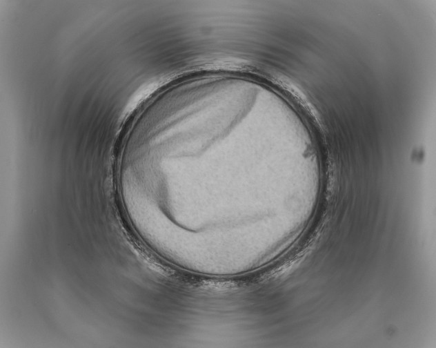 X0000089960978200707271858