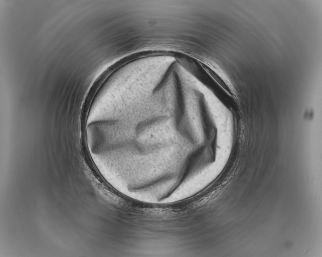 X0000089960980200707271857