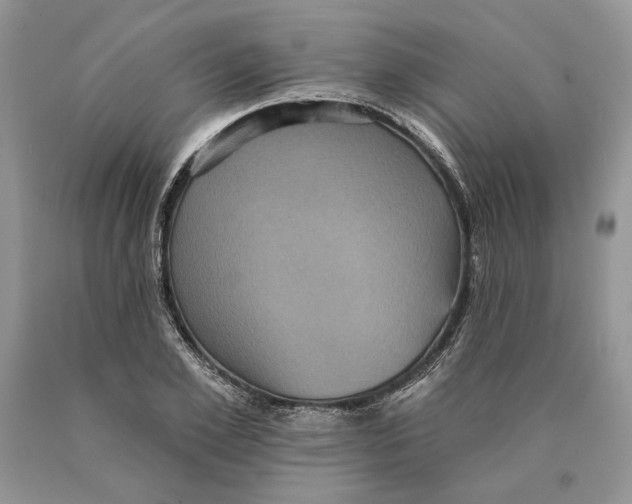 X0000089960981200707271857