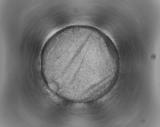 X0000089960982200707271857