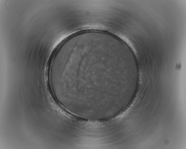 X0000089960983200707271857