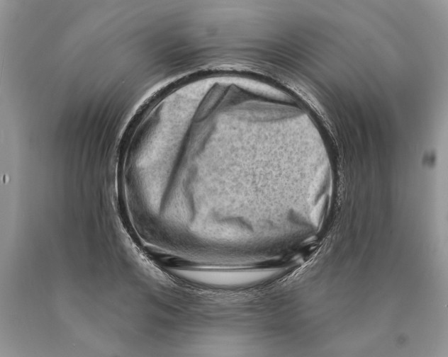 X0000089960984200707271857