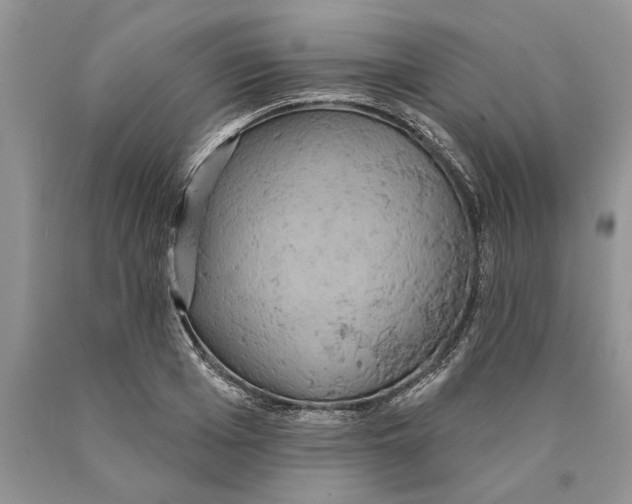 X0000089960985200707271857