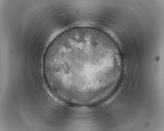 X0000089960986200707271857