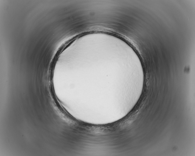 X0000089960987200707271857