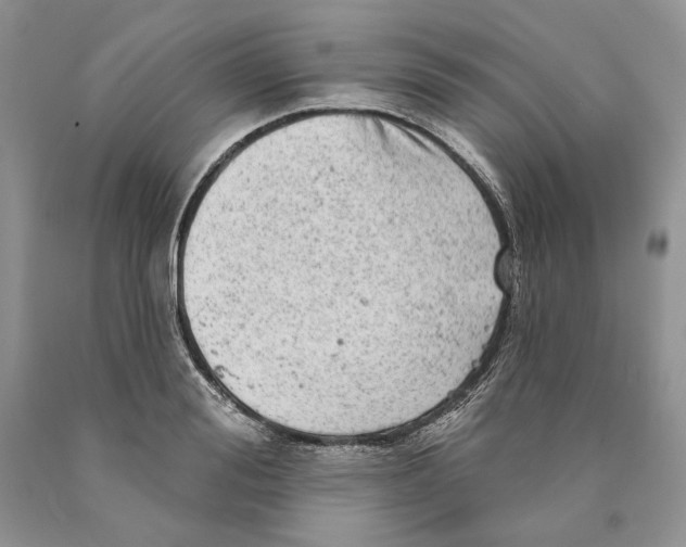 X0000089960988200707271857