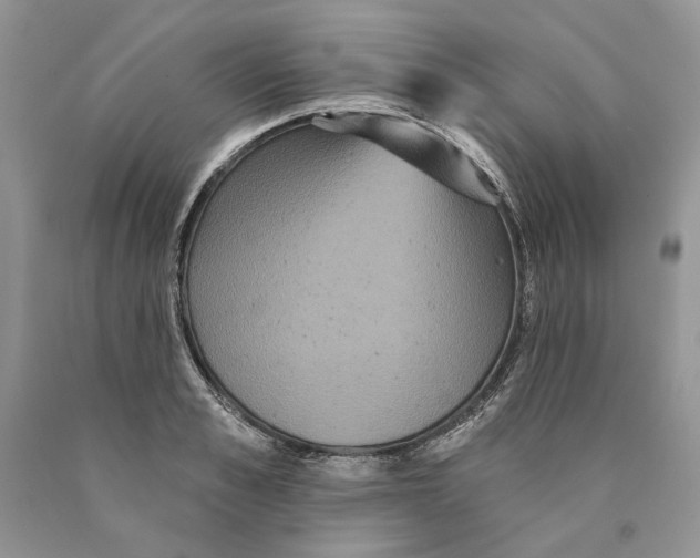 X0000089960989200707271857