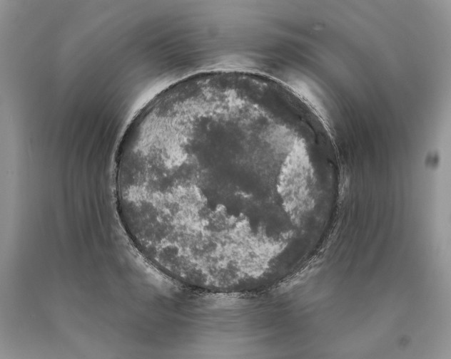 X0000089960990200707271857