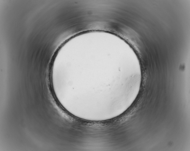 X0000089960991200707271857