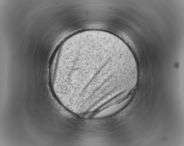 X0000089960992200707271857