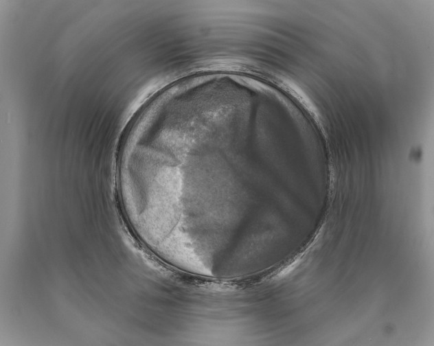 X0000089960994200707271857