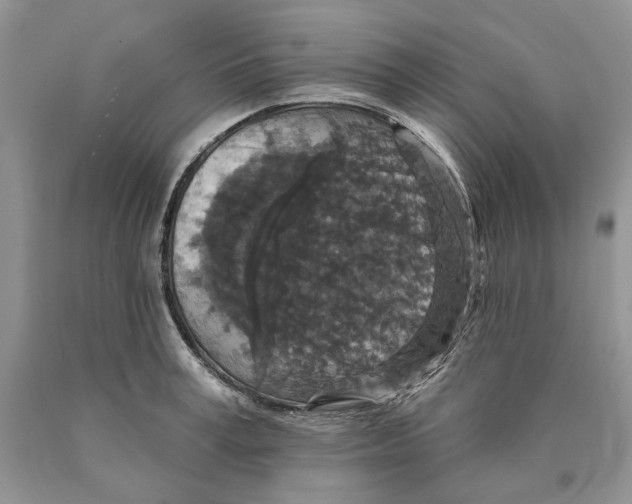 X0000089960995200707271857