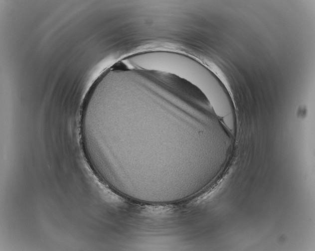 X0000089960997200707271857