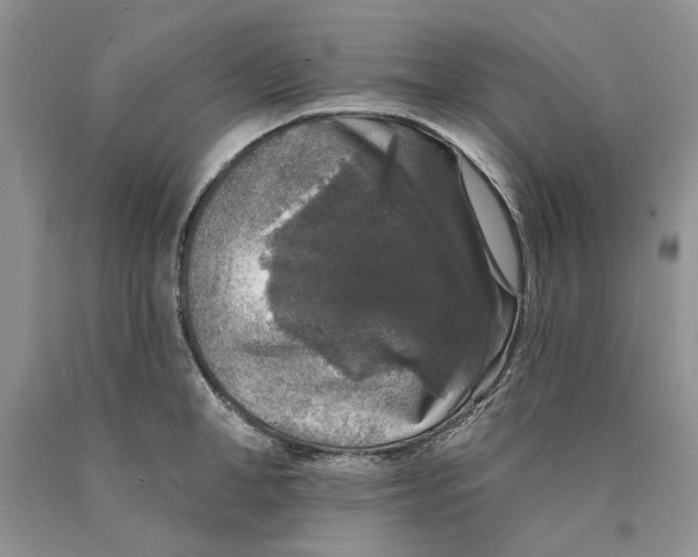 X0000089960998200707271857