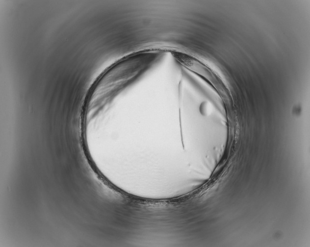 X0000089960999200707271857