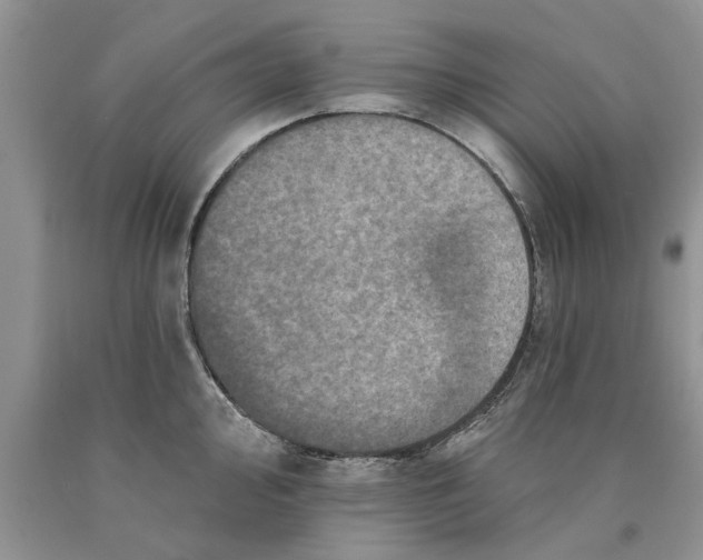 X0000089961000200707271857