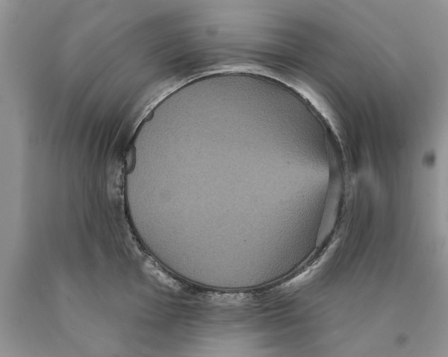 X0000089961001200707271857