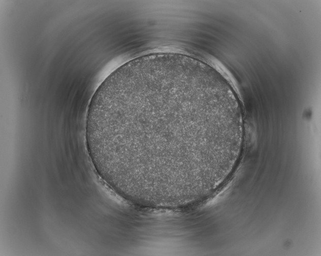 X0000089961002200707271857