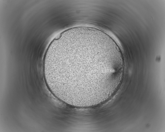 X0000089961004200707271857