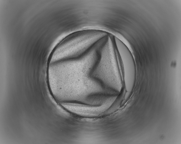 X0000089961005200707271857