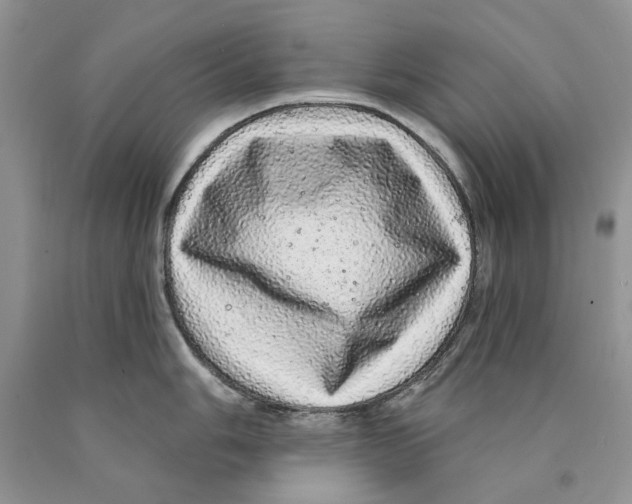 X0000089961006200707271857