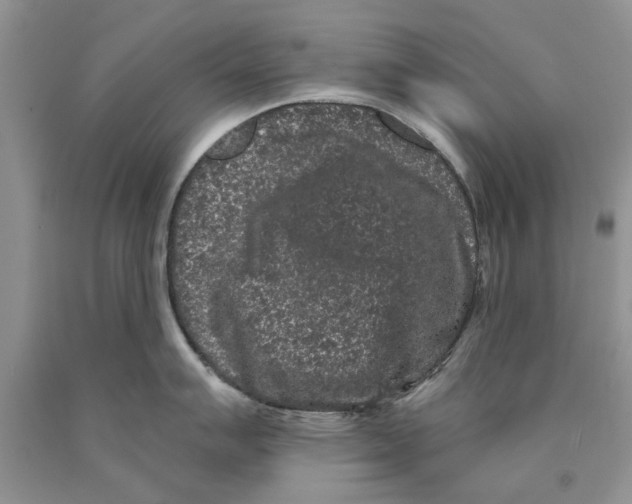 X0000089961007200707271857