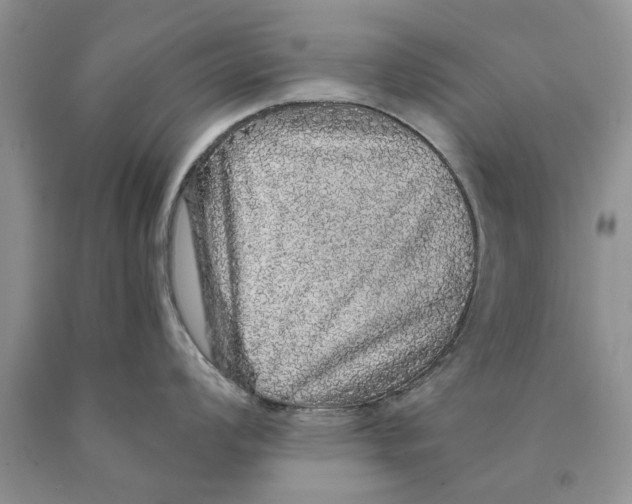 X0000089961008200707271857