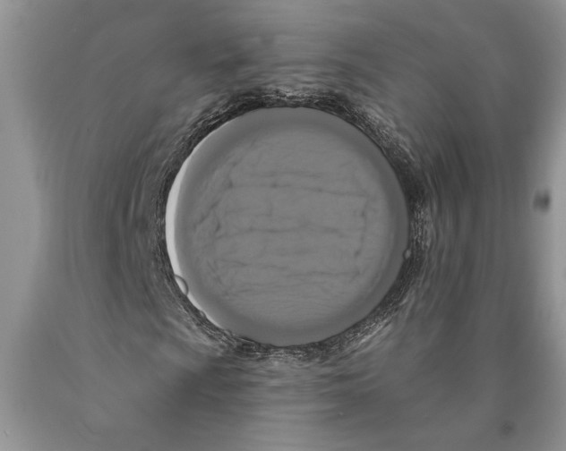 X0000089961009200707271857