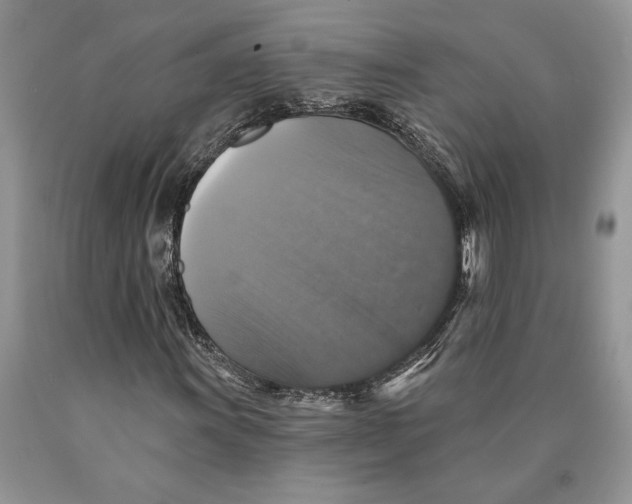 X0000089961011200707271857