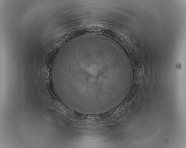 X0000089961013200707271857