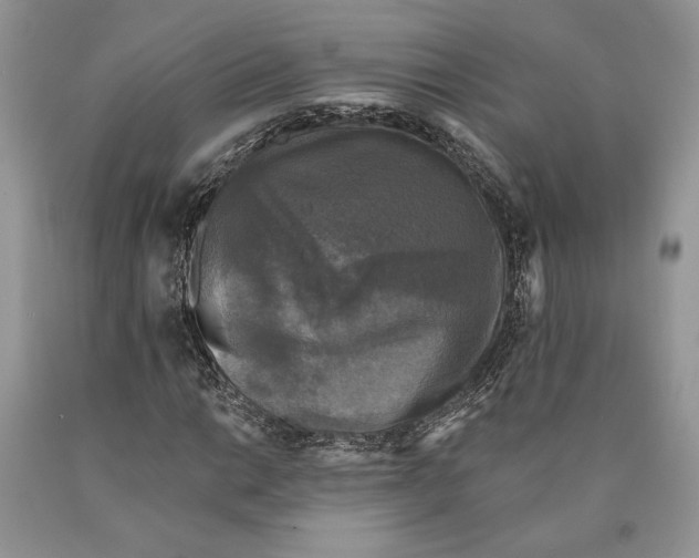 X0000089961014200707271857