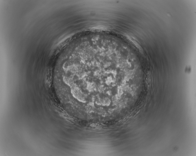 X0000089961015200707271857