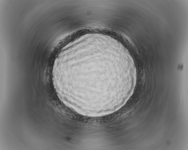 X0000089961016200707271857