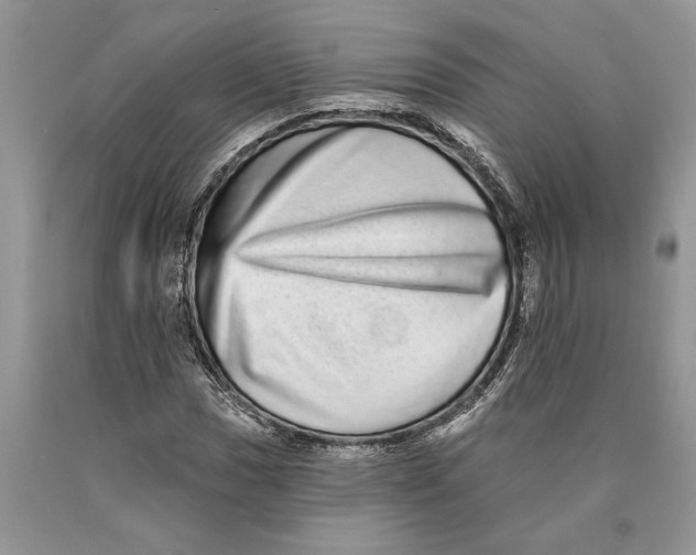 X0000089961017200707271857