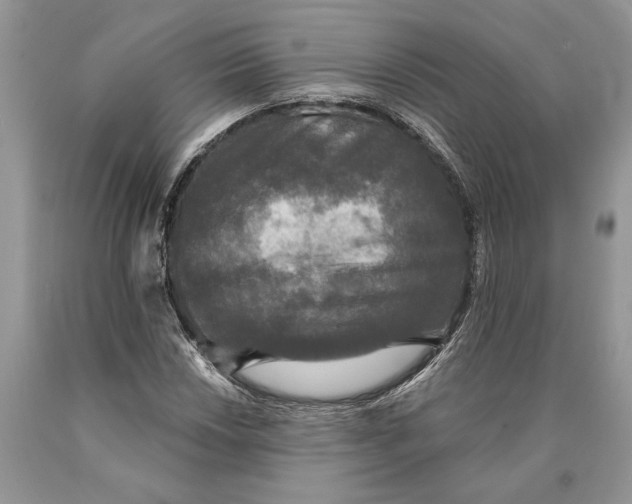 X0000089961018200707271857